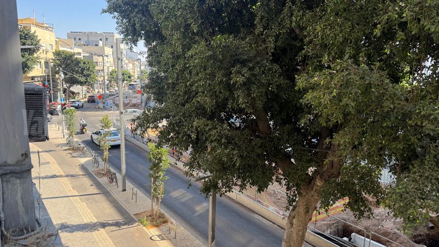 אלנבי 