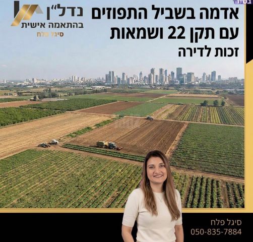 מתחם 11