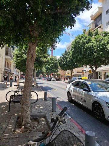 דיזנגוף 290
