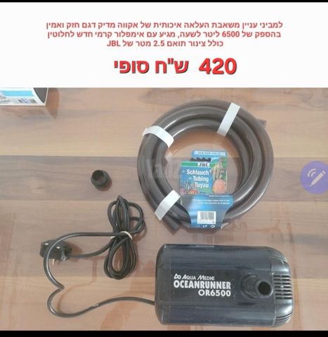 תמונת מודעה - חיות מחמד