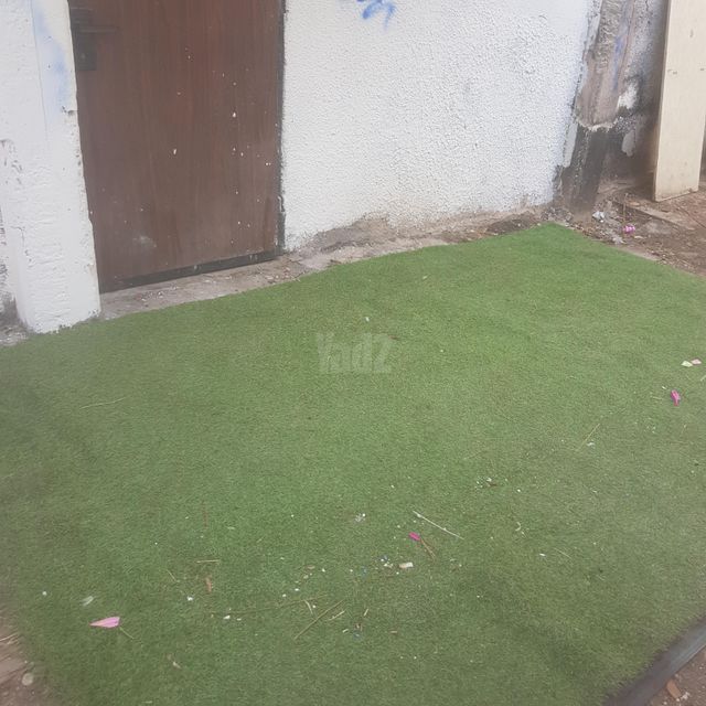 הנורית 202