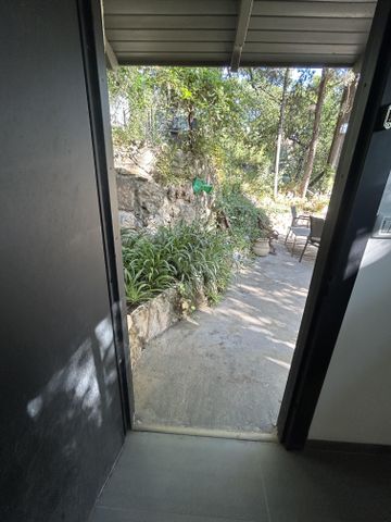 הנרקיסים 35