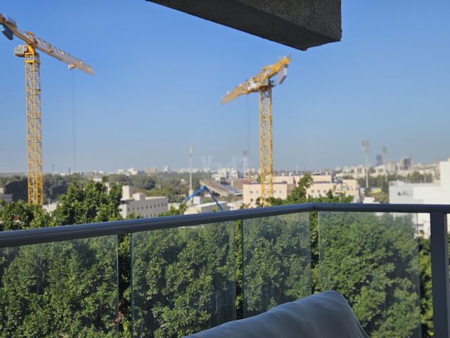 דב גרונר 55