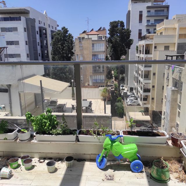 הרמן צבי שפירא 38