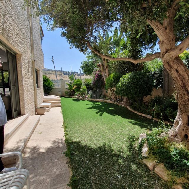 אליהו חכים 29