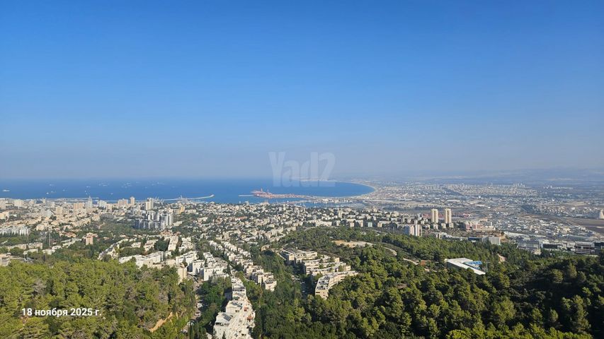 מנדל זינגר 