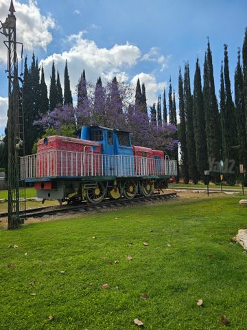 מבצע יונתן 11