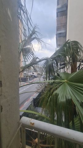 דניאל 