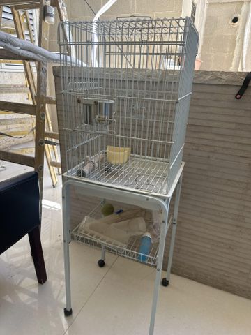 תמונת מודעה - חיות מחמד