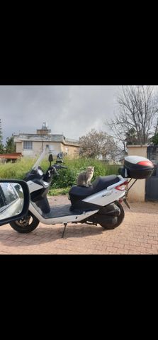 מודעת רכב סאן יאנג ג'וי רייד 125