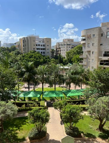 אלי כהן 3