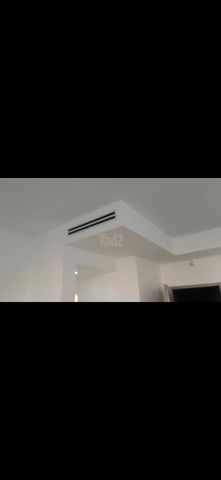 יגאל ידין 5