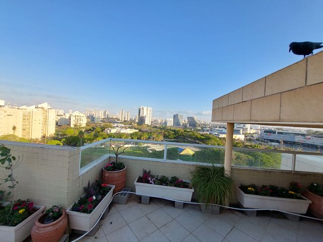 הרטום 30