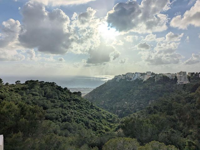 מרגלית 30