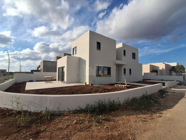 ברק 1