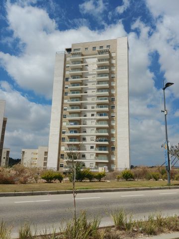 סנונית 8