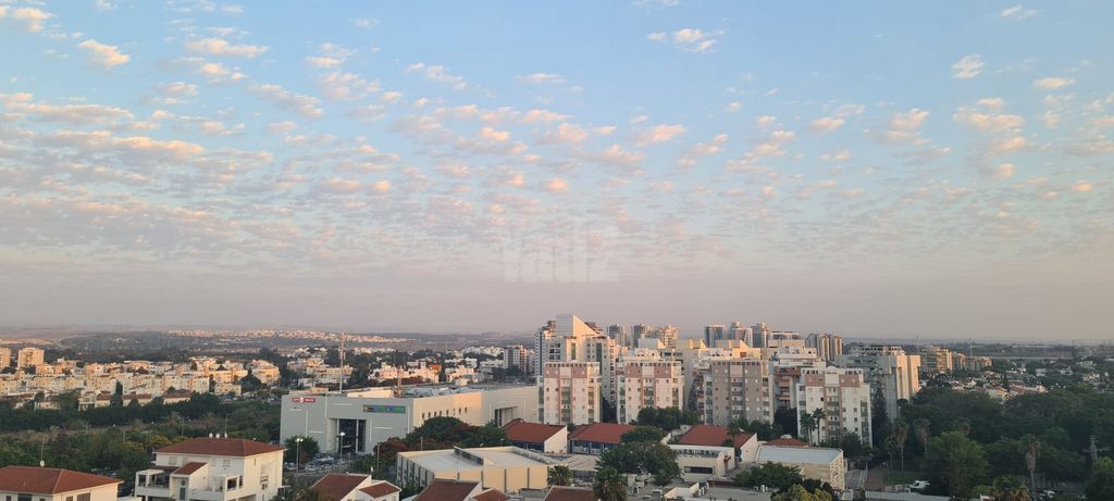 משה תבורי 