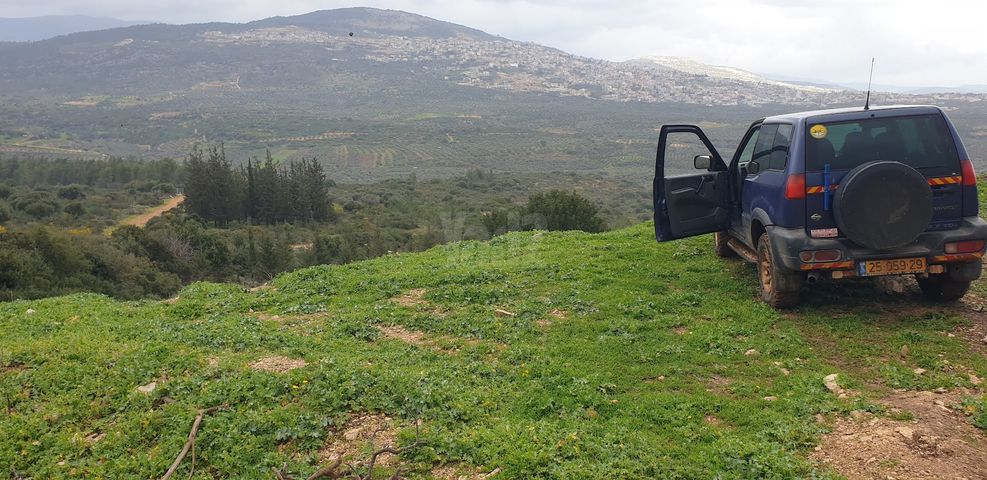 מודעת רכב ניסאן טראנו