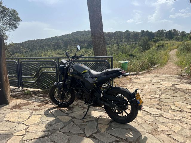 מודעת רכב בנלי LEONCINO250