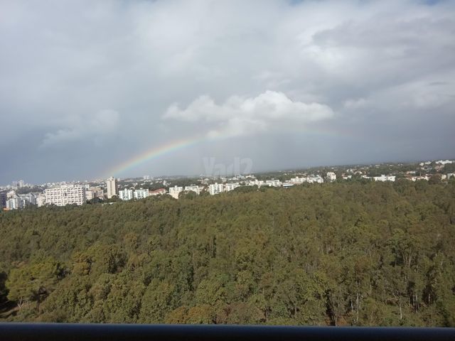 אלונים 16
