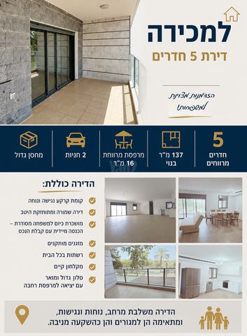 אלישע הנביא 24