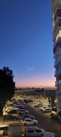 משה דיין 4