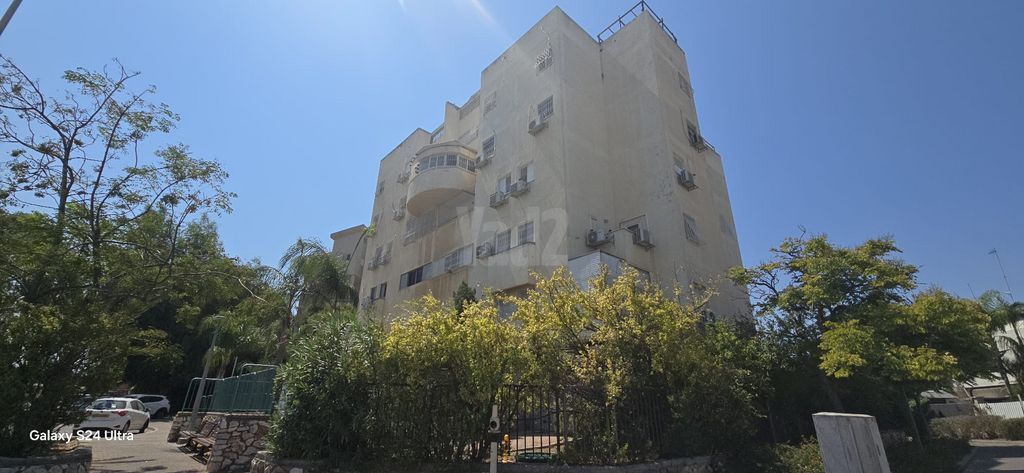 ריינס 3