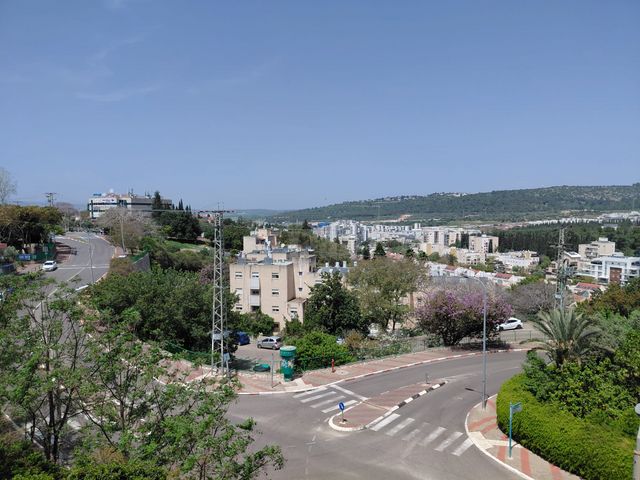 התדהר 6