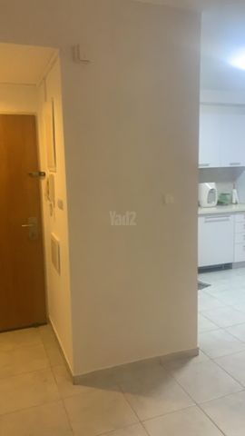 הלוטם 3