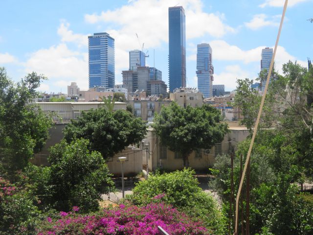 הרב דנגור 8