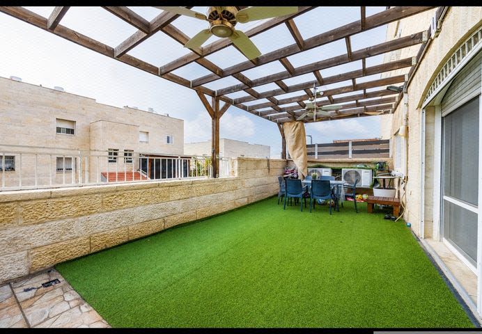 זאב פלק 14