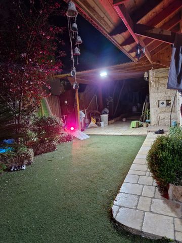 הנרקיס 6
