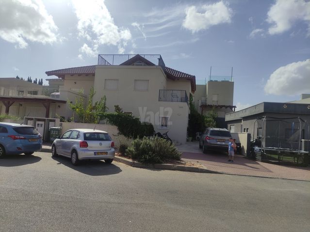הגפן 1
