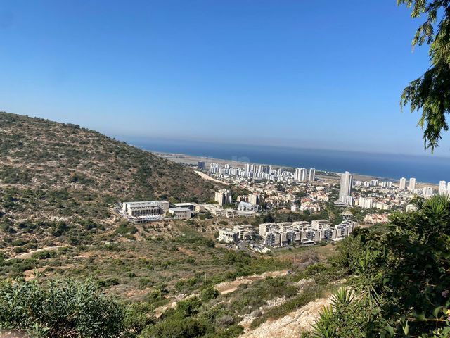 אסתר רבין 75