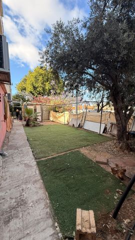 אילת 80