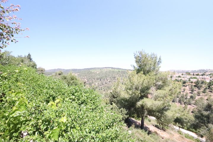 בית פרטי/ קוטג'