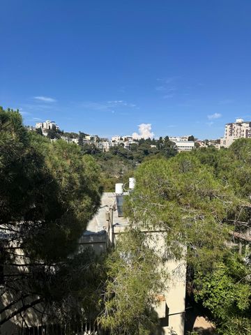 ביכורים 38