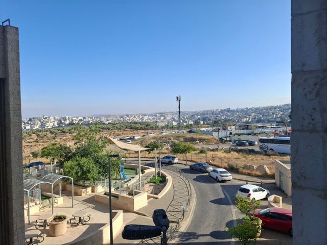 הרב דוד אלטשולר 