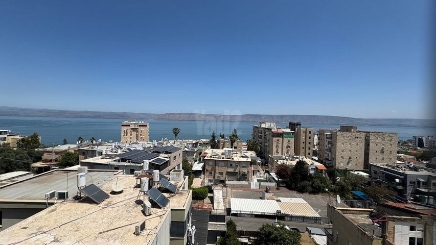 טבור הארץ 