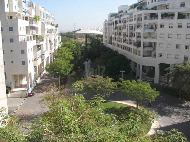 אלכסנדר סשה ארגוב 