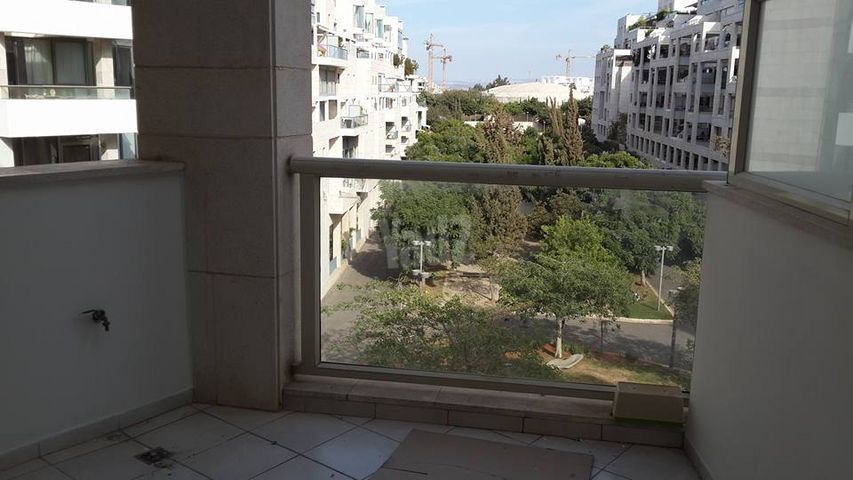 אלכסנדר סשה ארגוב