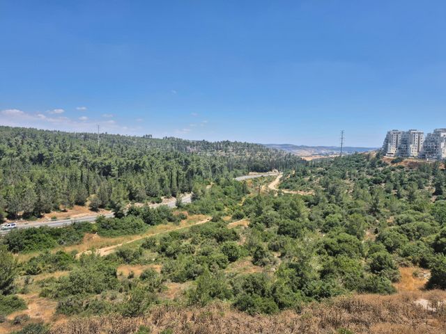רבי ברכיה 24