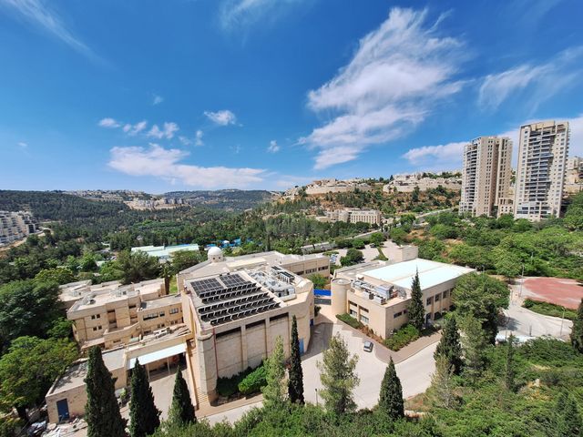 אברהם שטרן 41