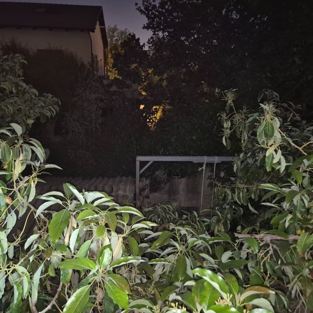 תמונה 5 של דירת 5 חדרים להשכרה בראשון לציון