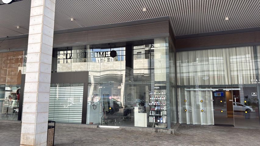 נרקיסים