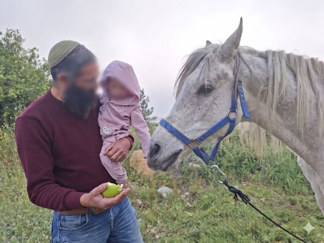 תמונת מודעה - חיות מחמד