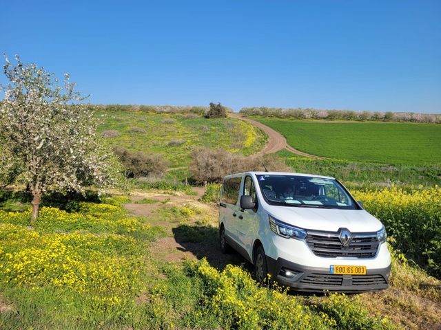 מודעת רכב רנו טראפיק
