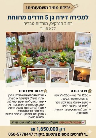 הנרקיס 311