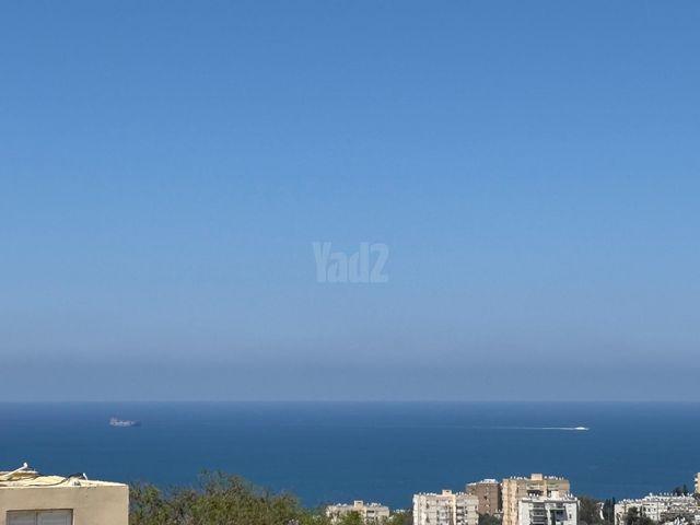 חרוב 11