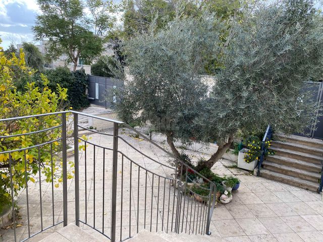 יסמין 70
